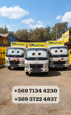 Ignacio Miranda Pino