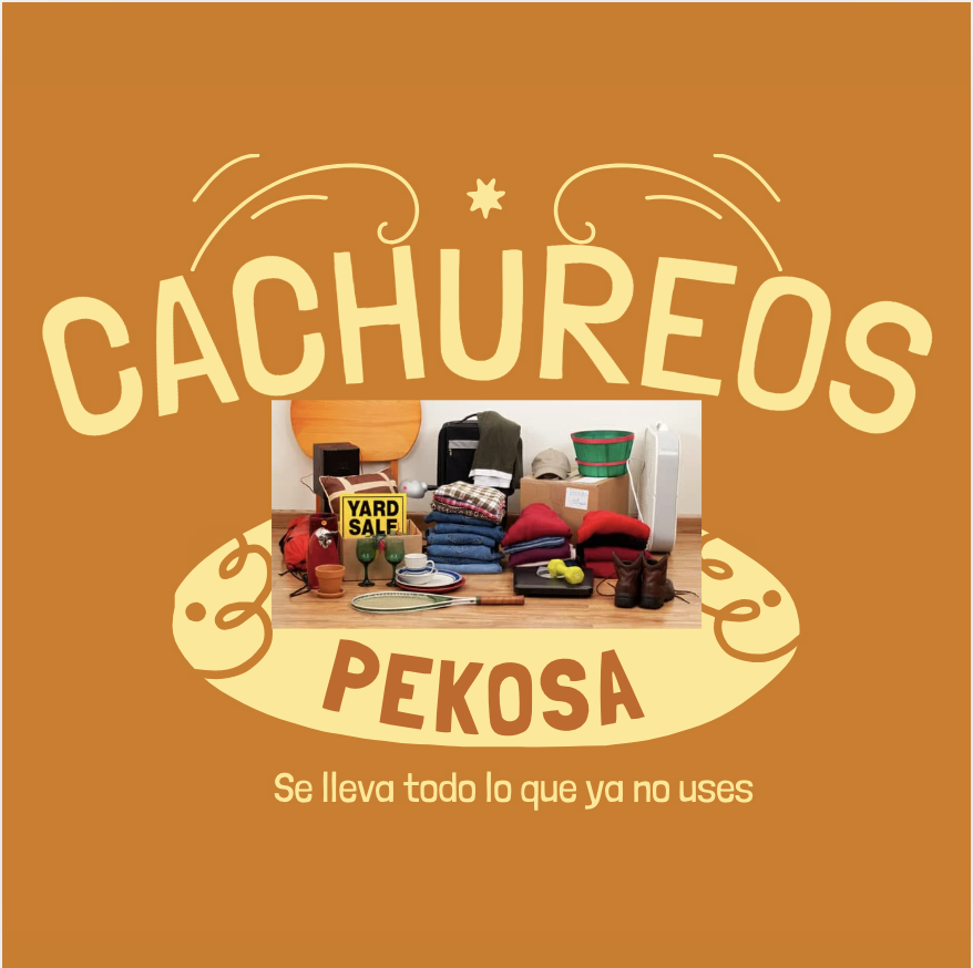 Lucila Montecinos Ubilla