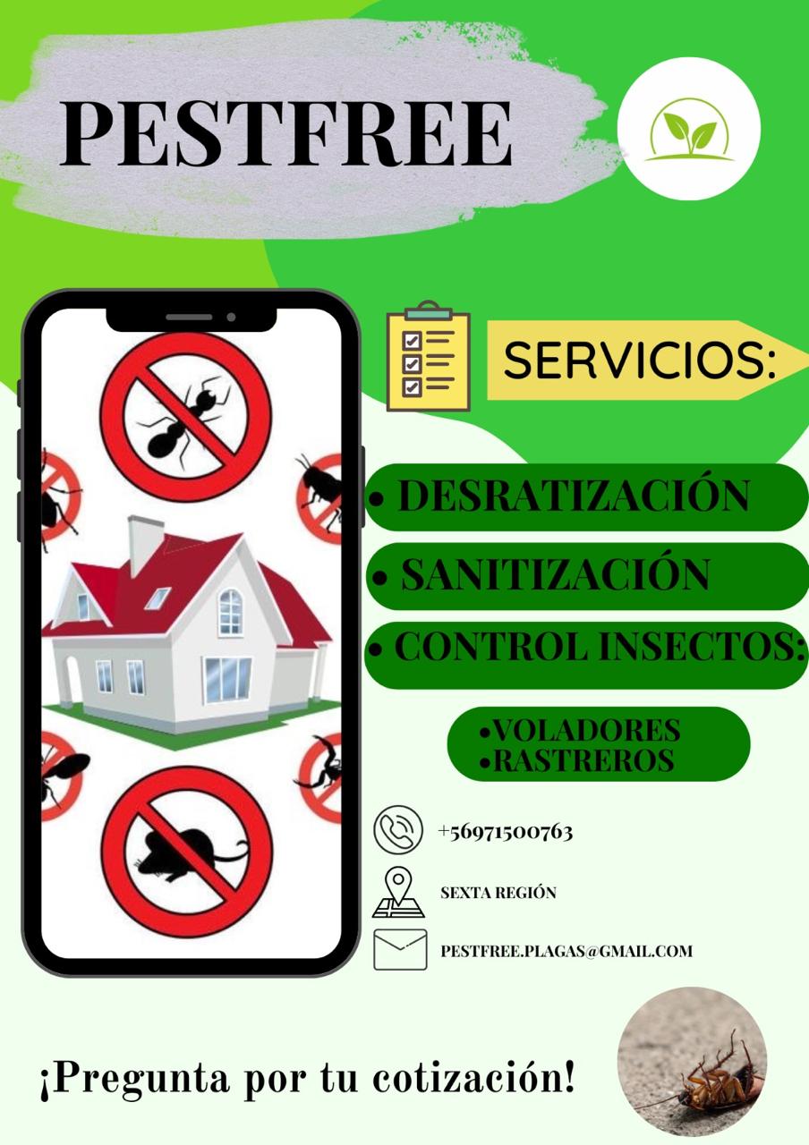 Pestfree Rodrigo Vargas